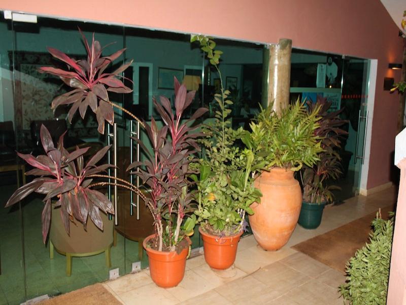 Coimbra Hotel & Spa بيساو المظهر الخارجي الصورة